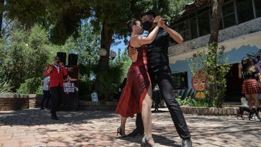 Sitio Andino | vino x tango