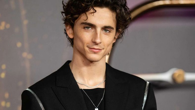 Timothée Chalamet protagoniza esta genial película en HBO Max.