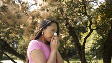 La primavera llegó antes y comenzó la temporada de alergia.