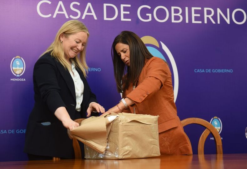 Diez empresas compiten para concretar una obra pública estratégica.
