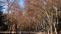 Jornada parcialmente nublada, el pronóstico del tiempo para este martes 22 de abril en Mendoza