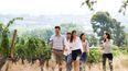 Enoturismo en San Rafael -archivo-