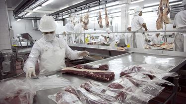 Sitio Andino | Exportaciones carne vacuna frigorífico EEUU