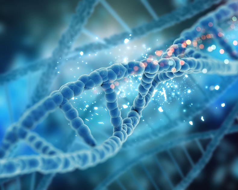 Química: qué es un nucleótido