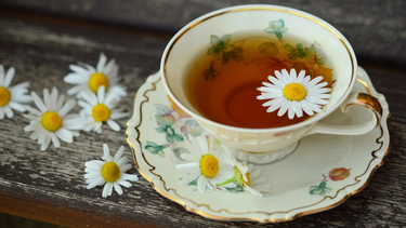 Día Internacional del Té: la razón detrás de la celebración del 21 de mayo Día Internacional del Té: la razón detrás de la celebración del 21 de mayo