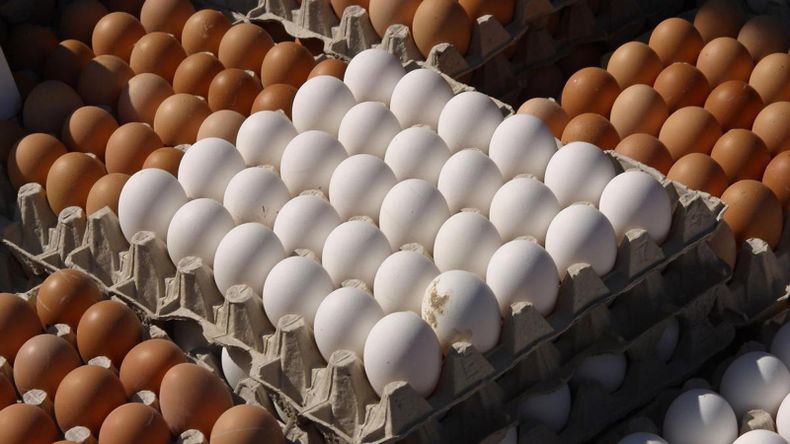 Cada vez se consumen más huevos en Argentina: cómo crece la producción en Mendoza