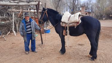 Luis Lima, otro de los puesteros afectados por ataques de perros a su ganado.