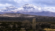 Nieve en la cordillera malargüina.
