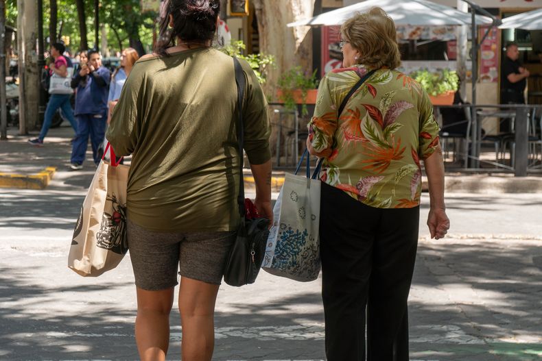 Se espera otra jornada agradable en Mendoza este miércoles 18 de febrero.