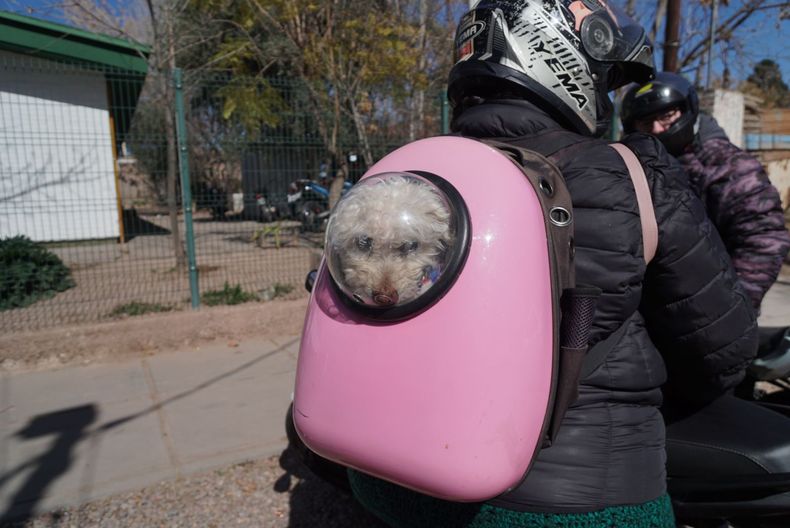Elecciones 2023: las perlitas de una nueva jornada electoral en Mendoza. Elecciones 2023: las perlitas de una nueva jornada electoral en Mendoza.