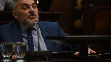 El senador peronista cuestionó lo ocurrido en la sesión de este martes. El senador peronista cuestionó lo ocurrido en la sesión de este martes.