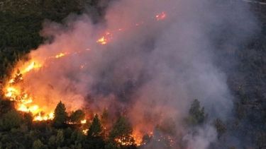 Milei propone cambios en la ley de manejo del fuego y reabre el debate por tierras incendiadas Milei propone cambios en la ley de manejo del fuego y reabre el debate por tierras incendiadas