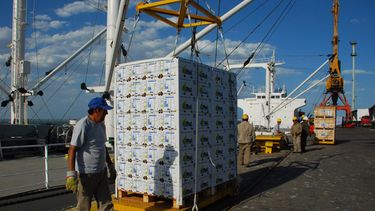 Las exportaciones de alimentos y bebidas crecen 16,7% en volumen