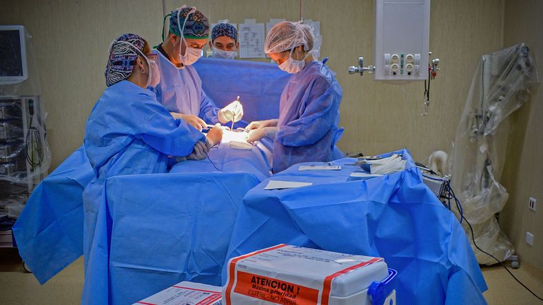 Récord nacional de donación de órganos: el Hospital Central lidera los trasplantes en Mendoza.
