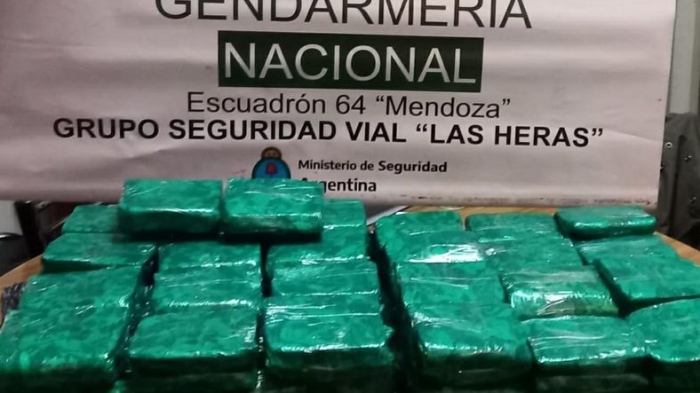 Secuestran más de 30 kilos de hojas de coca en la terminal de Mendoza