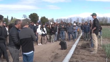Jornada de Cultivo de Ajo en San Carlos.