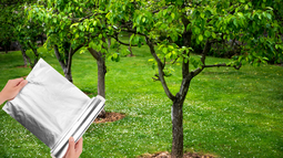 Para qué sirve poner tiras de papel aluminio en un árbol