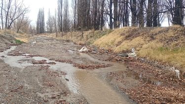 Vecinos y productores de Tupungato alertan por el estado del Arroyo El Molino