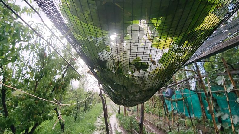 granizo San Rafael 11 de enero de 2024 09.jpeg