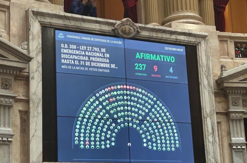 La Cámara de Diputados dio media sanción a la nueva Ley de Discapacidad.