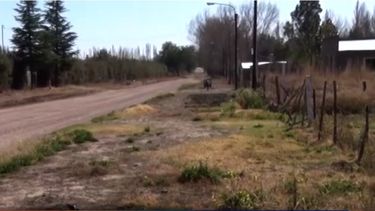 Conflicto con el agua en el distrito Las Paredes de San Rafael.