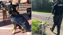 Fito y Snaiper, de las delegaciones de Canes Zona Este y Valle de Uco, fueron claves en dos operativos
