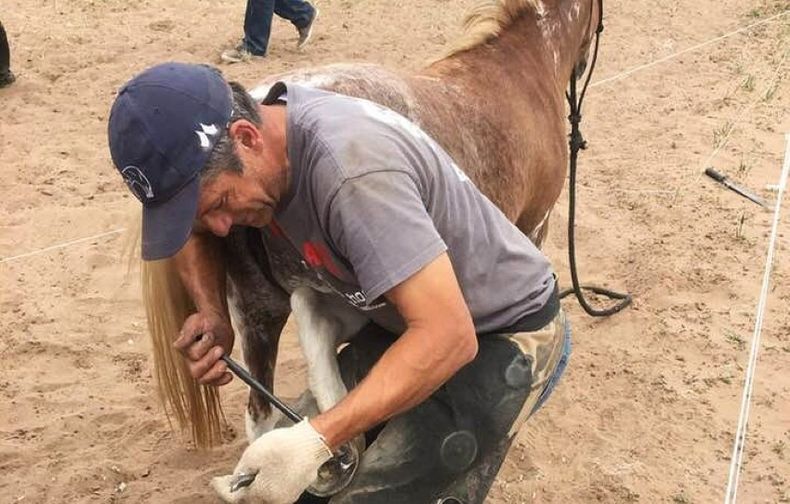 Llega a Malargüe Pedro Pechar, herrador Mustang.