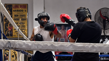 El boxeo mendocino tiene a un gran representante. El boxeo mendocino tiene a un gran representante.
