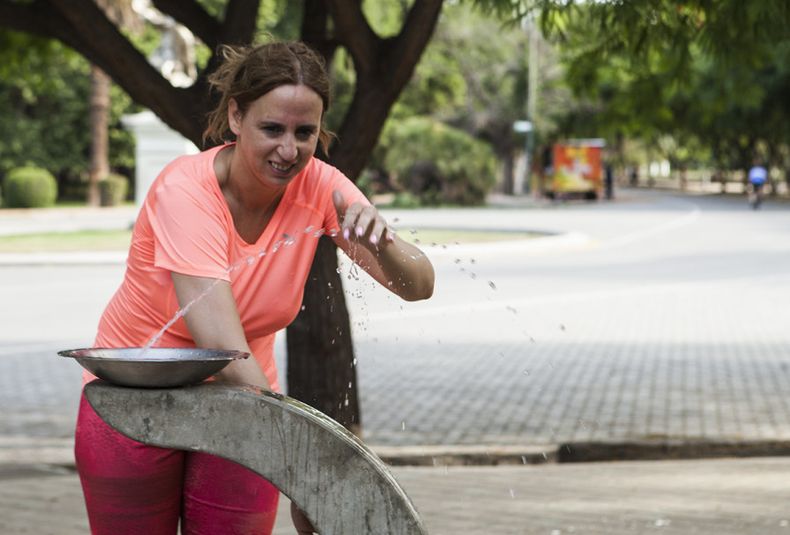 calor, verano, clima caluroso, altas temperaturas