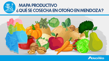 Cosechas que terminan y otras que comienzan en el otoño de Mendoza, un recorrido productivo regional Cosechas que terminan y otras que comienzan en el otoño de Mendoza, un recorrido productivo regional