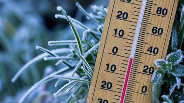 Arrancó el invierno: dos departamentos de Mendoza entre los más fríos del país. Arrancó el invierno: dos departamentos de Mendoza entre los más fríos del país.