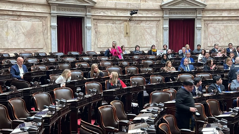 Los legisladores de Evolución Radical y Milei - Villaroel en el fondo colaborando con el quorum para tratar el proyecto enviado por Sergio Massa.