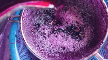 La uva para mosto es una referencia para los precios&nbsp; de la uva en cada temporada