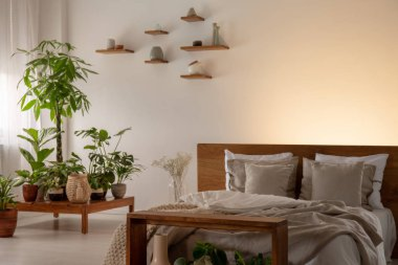 Jardinería: 5 plantas ideales para tu dormitorio  
