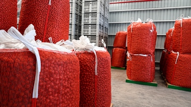 Nuez del Valle de Uco, la primera exportación de Mendoza con arancel 0 a Europa. Nuez del Valle de Uco, la primera exportación de Mendoza con arancel 0 a Europa.