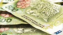 Hoy licitan Lecaps en pesos que pagan hasta 4% mensual de interés