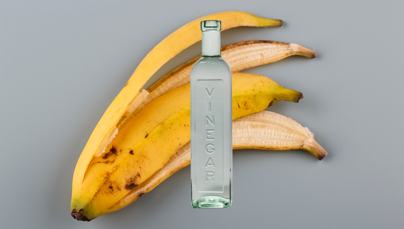 Increíble efecto de esta mezcla de cáscara de banana y el vinagre en las plantas: cómo hacerla&nbsp;