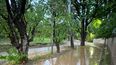 El Niño en Mendoza: San Martín se prepara para las emergencias climáticas. Imagen ilustrativa. El Niño en Mendoza: San Martín se prepara para las emergencias climáticas. Imagen ilustrativa.