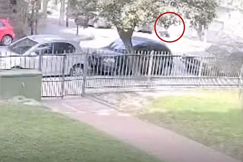 Captura del momento posterior al atropello de Fabi&aacute;n Gianola