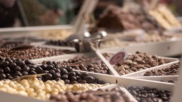 Chocolate, alfajores y miles de visitantes: el festival que sorprendió en Mendoza