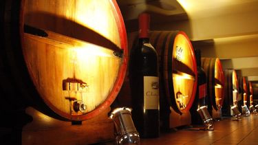 Sitio Andino | bodegas lopez, noche de reinas