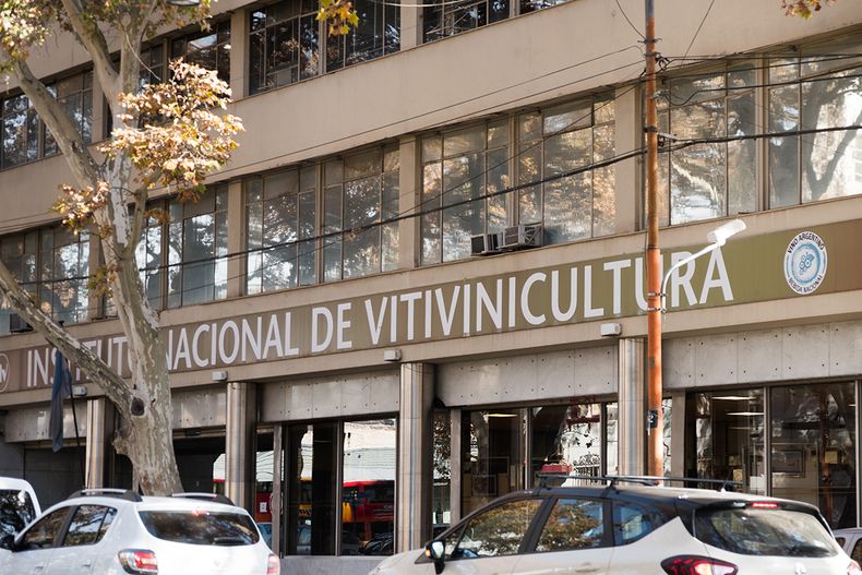 El Instituto Nacional de Vitivinicultura (INV) dispuso cuáles son las técnicas autorizadas para elaborar vino sin alcohol, o 