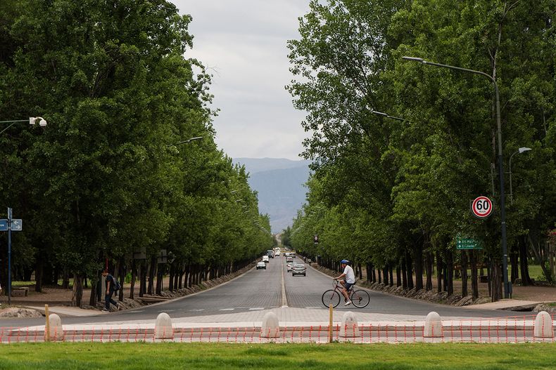 Mendoza fue premiada por su arbolado público en el Área Metropolitana.