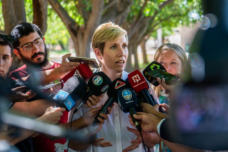 La empresa IMPSA fue finalmente privatizada y las acciones quedaron en poder de ARC Energy. Los detalles.