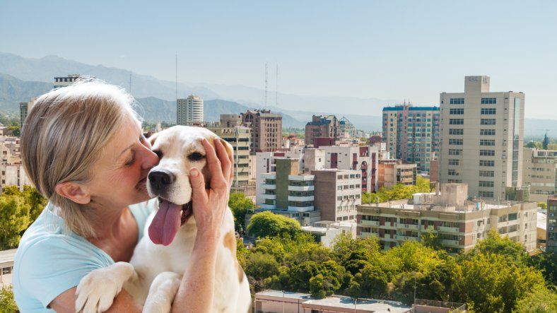 Descubrí las tres razas de perro que mejor se adaptan al clima de Mendoza y por qué