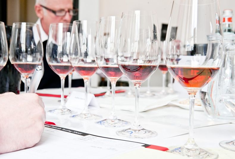 Vinos degustación cata puntajes vino