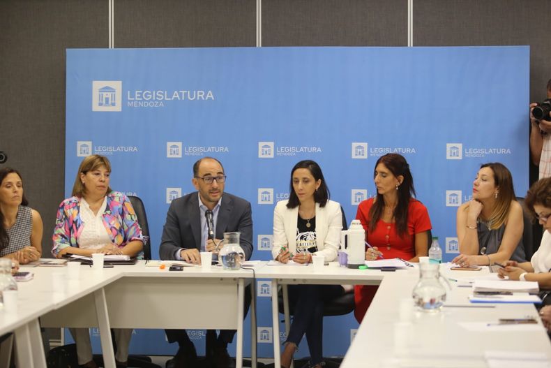 La DGE present&oacute; el proyecto de alfabetizaci&oacute;n escolar.