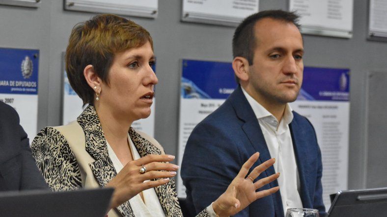 La ministra de Energía y Ambiente, Jimena Latorre, presentó en la Legislatura los detalles del Presupuesto 2026 previsto para su cartera.