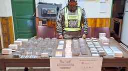 Contrabando: incautan cargamento de medicamentos para mascotas