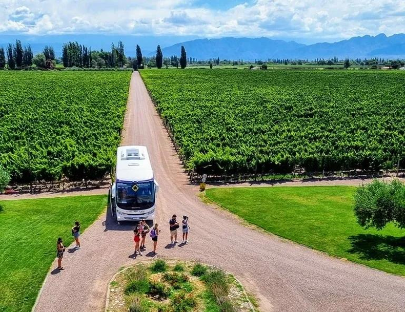 El turismo internacional comienza a recuperarse lentamente.